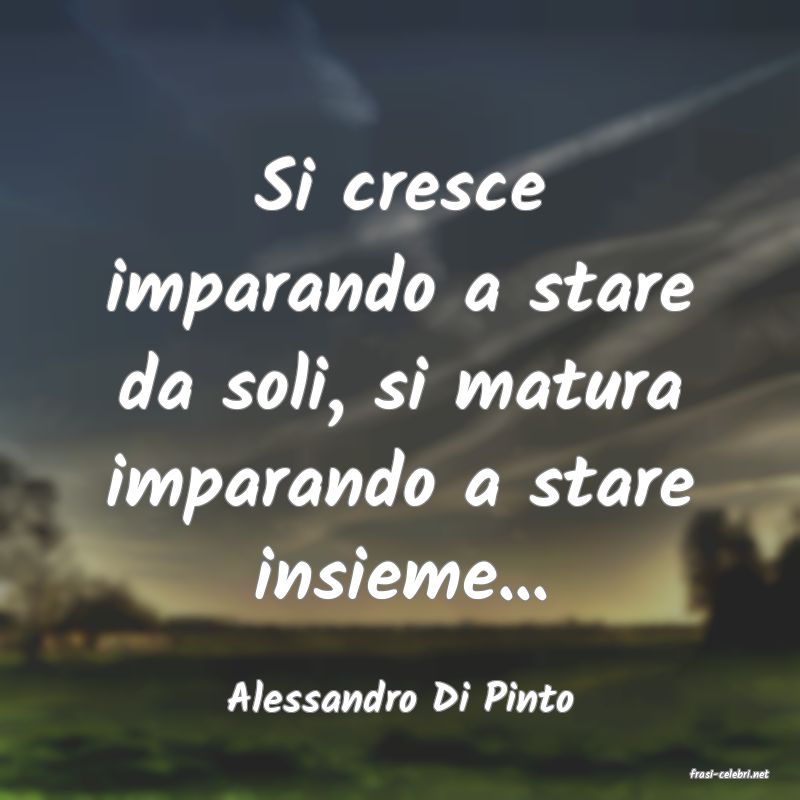 frasi di  Alessandro Di Pinto
