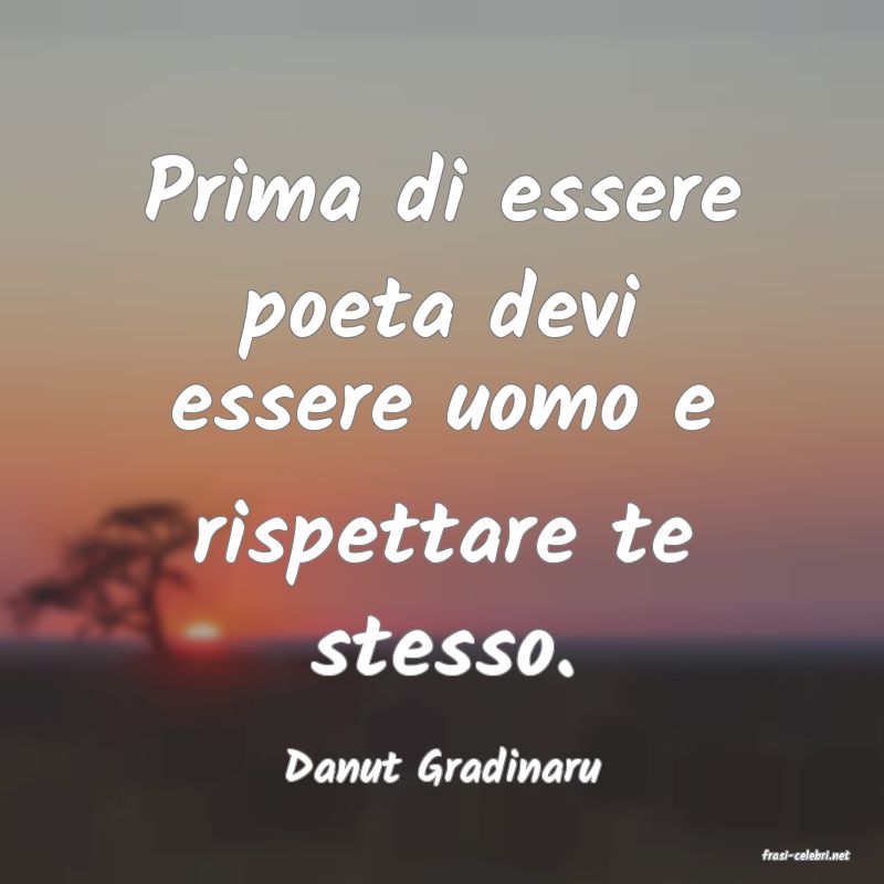frasi di  Danut Gradinaru
