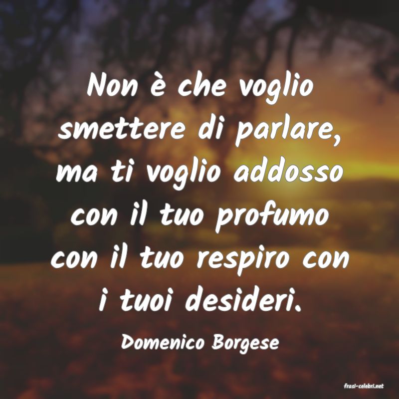 frasi di  Domenico Borgese
