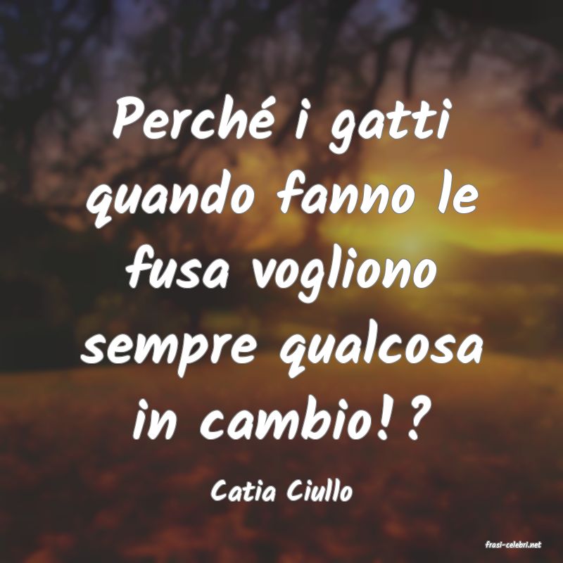 frasi di  Catia Ciullo
