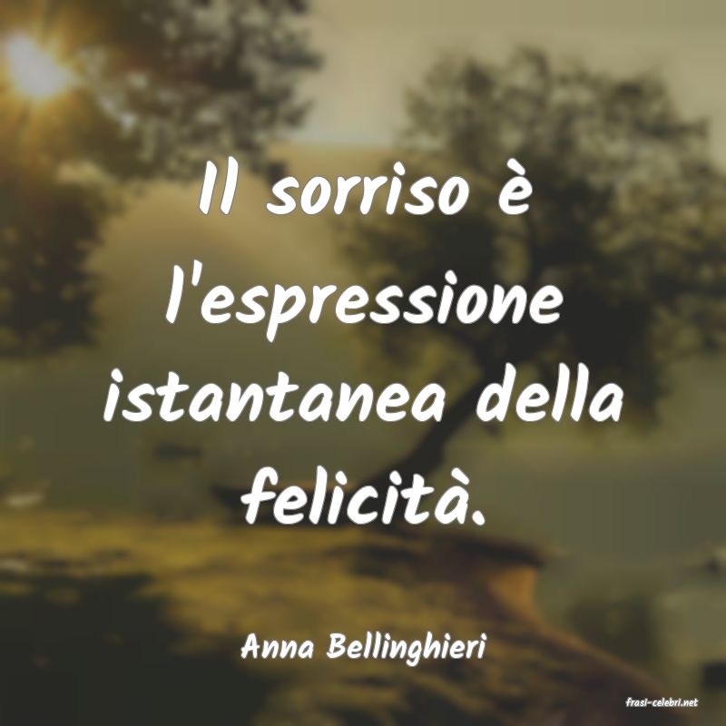 frasi di Anna Bellinghieri