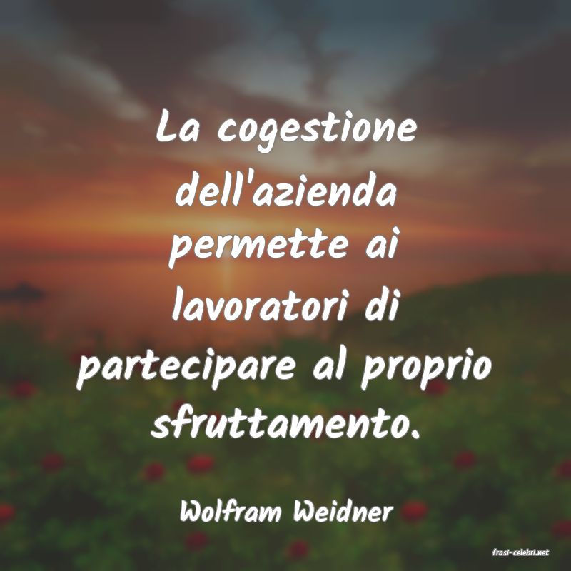 frasi di Wolfram Weidner