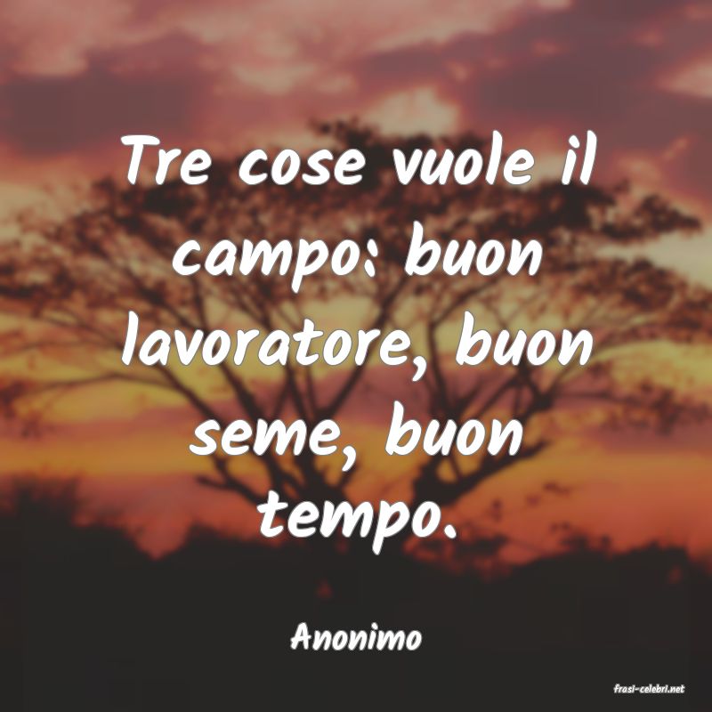 frasi di Anonimo