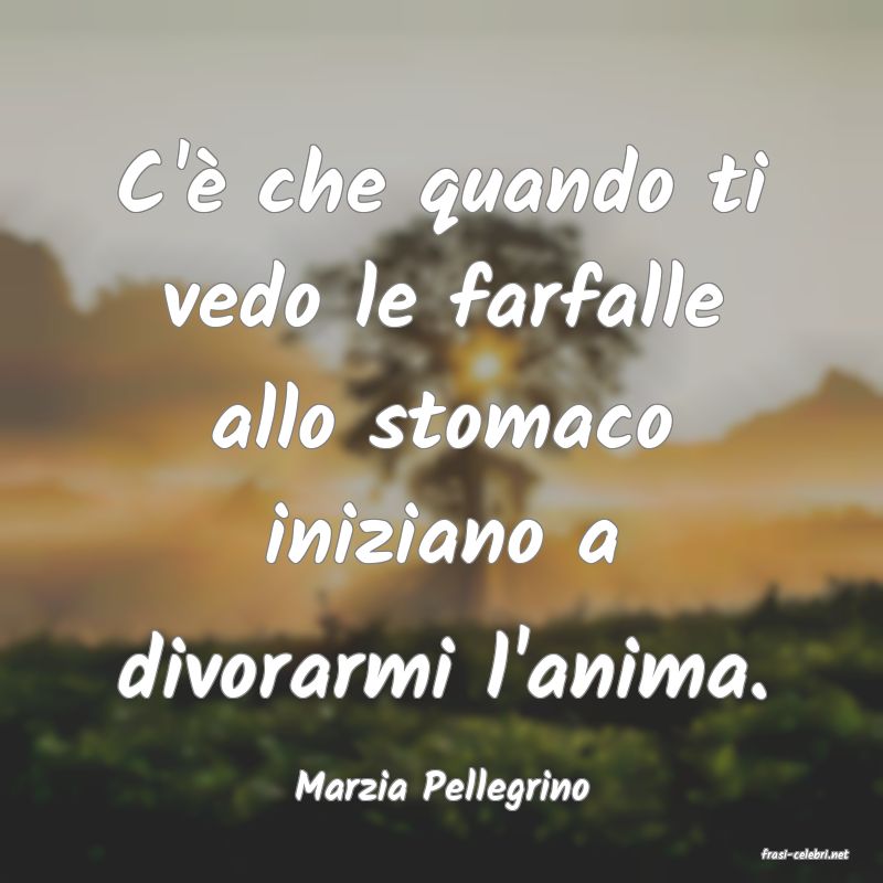 frasi di Marzia Pellegrino