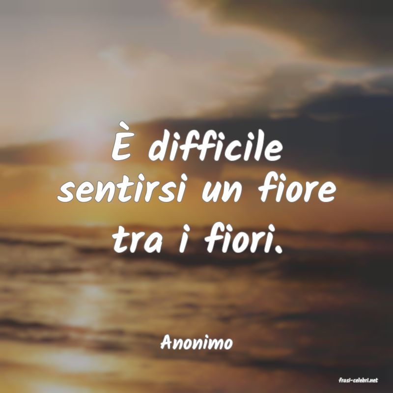 frasi di  Anonimo
