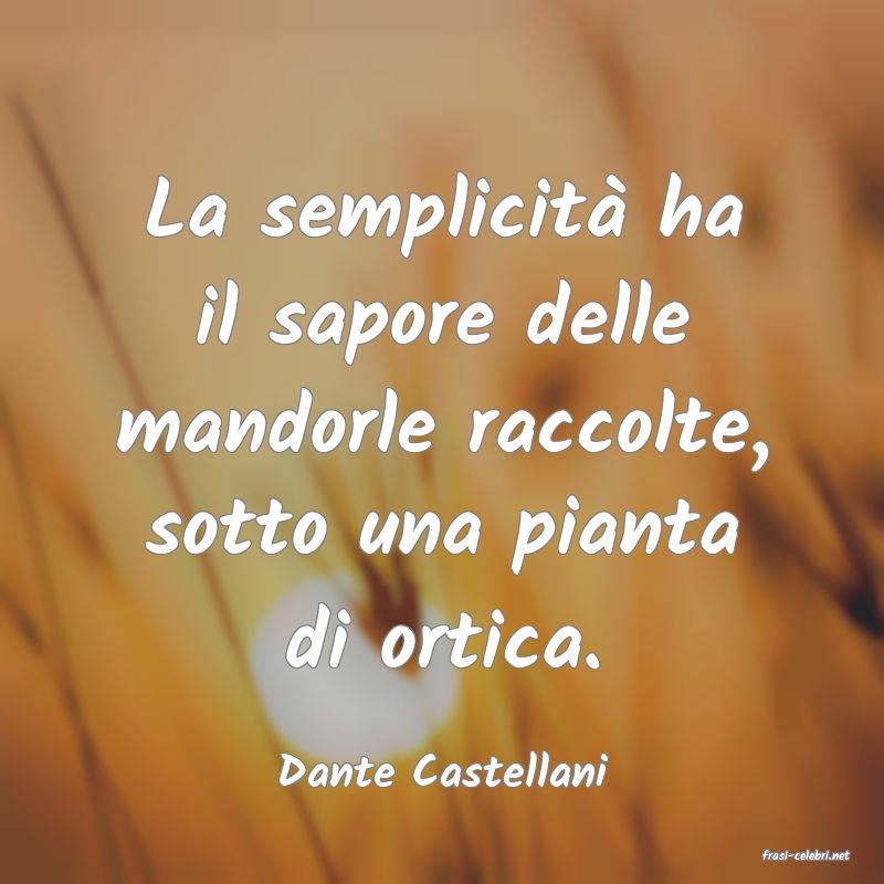 frasi di  Dante Castellani
