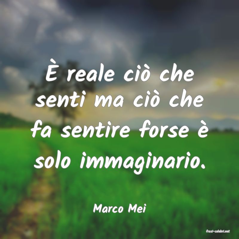 frasi di  Marco Mei
