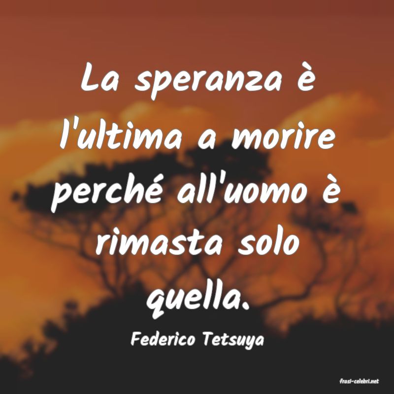 frasi di  Federico Tetsuya
