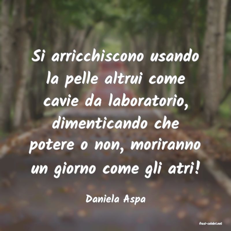 frasi di  Daniela Aspa
