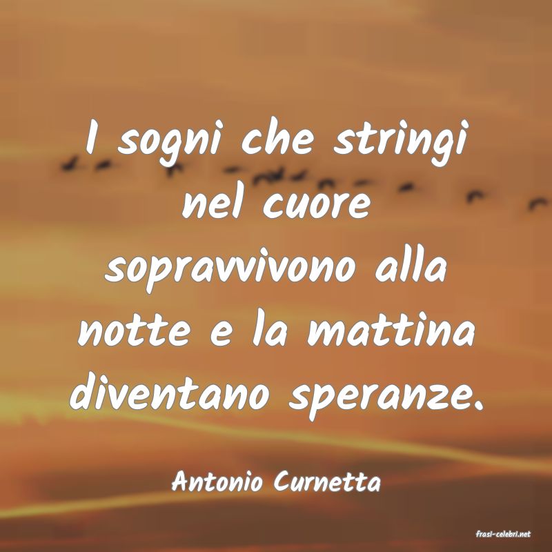 frasi di  Antonio Curnetta
