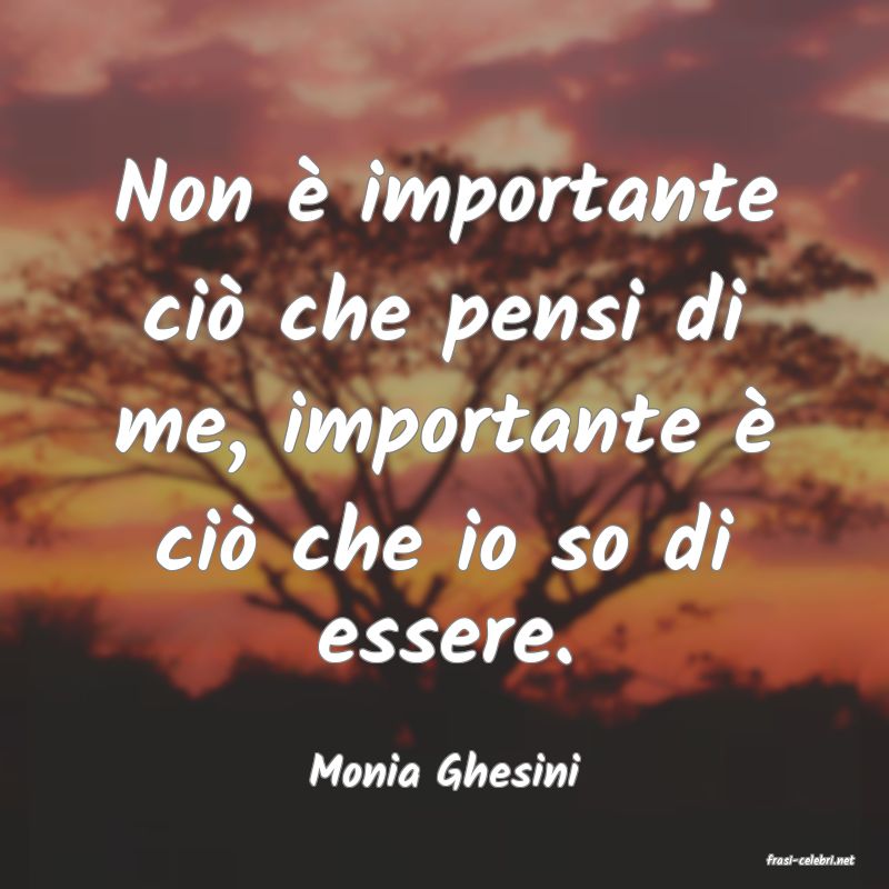 frasi di  Monia Ghesini
