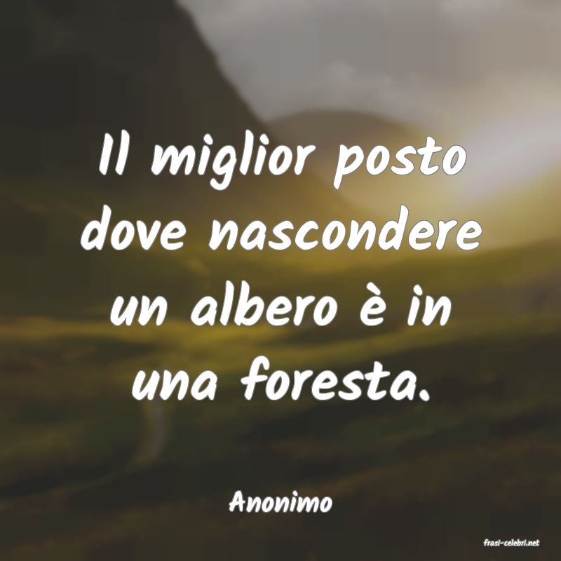 frasi di Anonimo