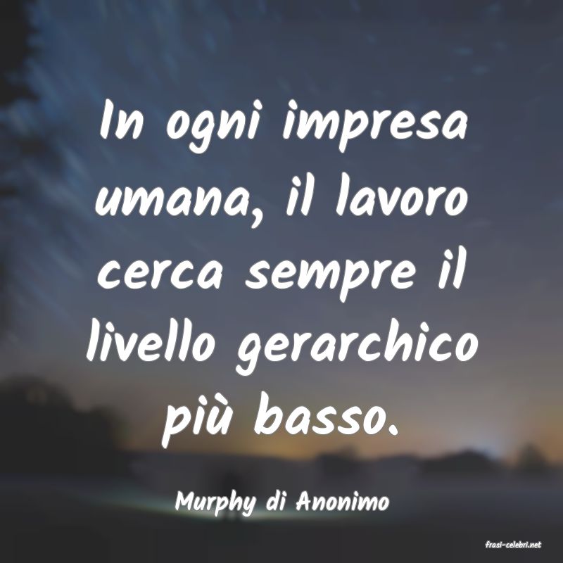frasi di Murphy di Anonimo