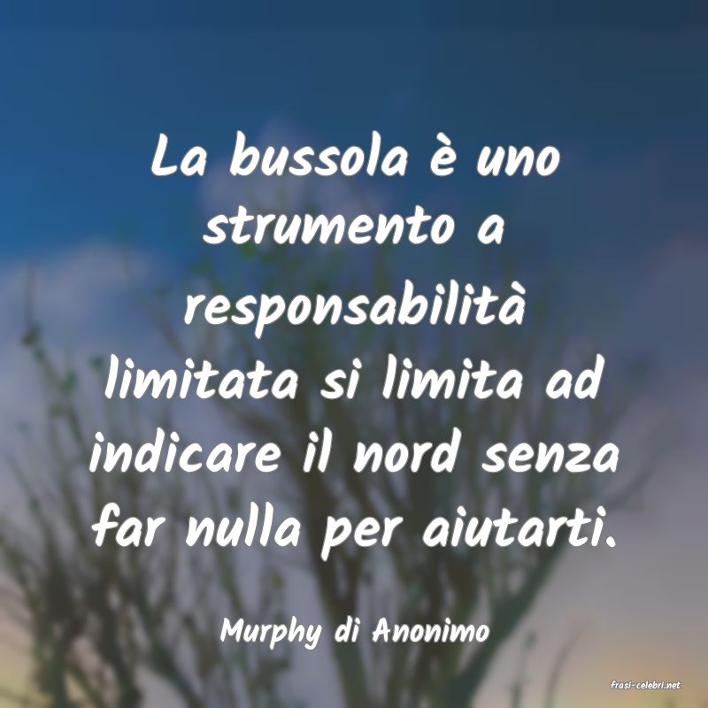 frasi di Murphy di Anonimo