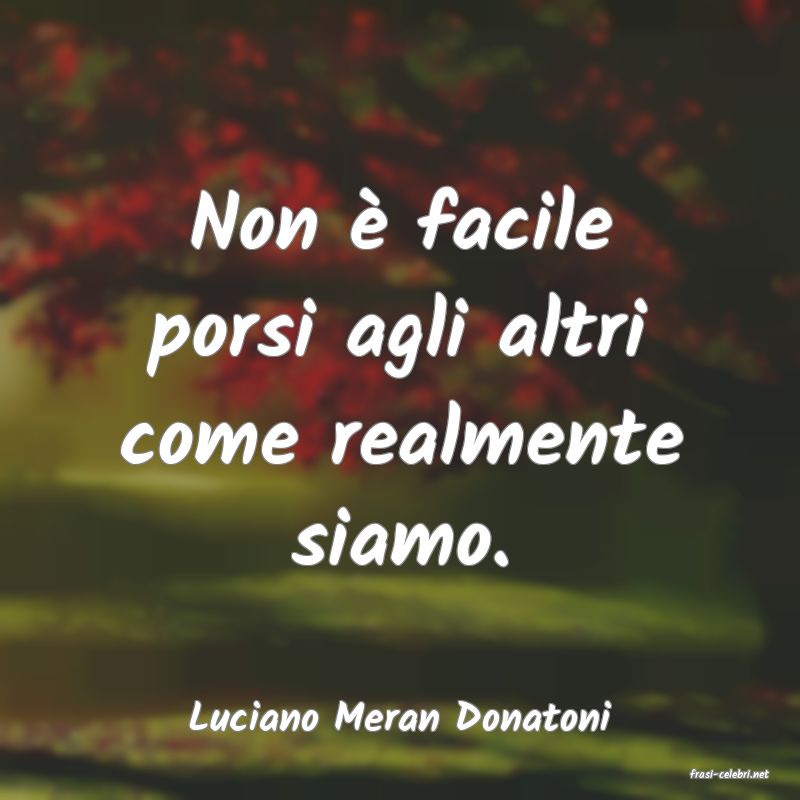 frasi di Luciano Meran Donatoni