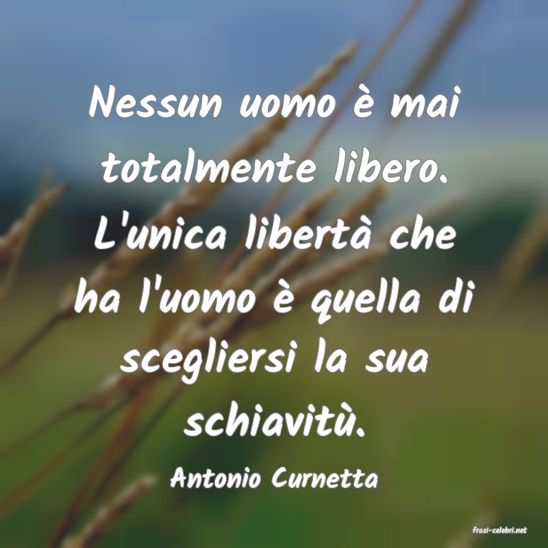 frasi di  Antonio Curnetta
