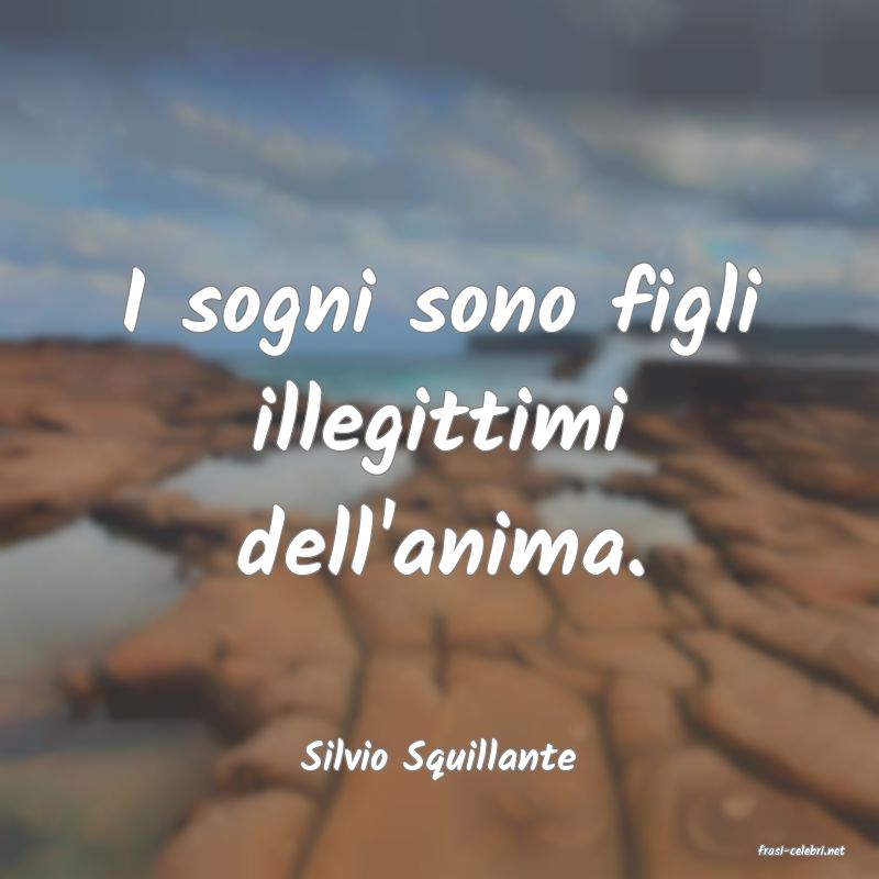 frasi di  Silvio Squillante
