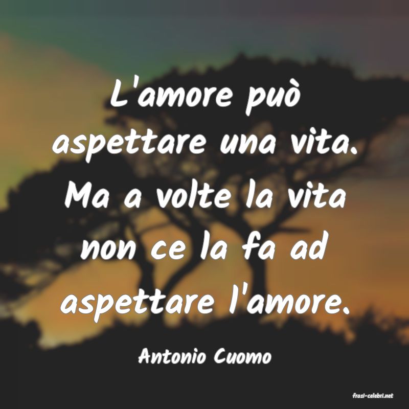 frasi di  Antonio Cuomo
