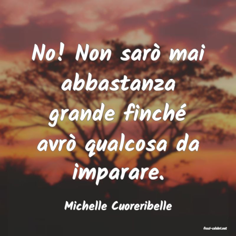 frasi di  Michelle Cuoreribelle
