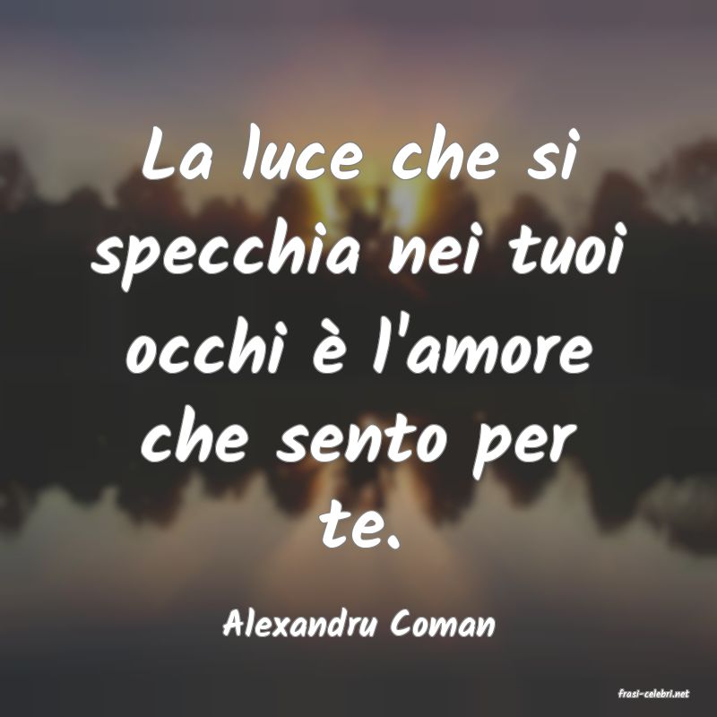 frasi di  Alexandru Coman
