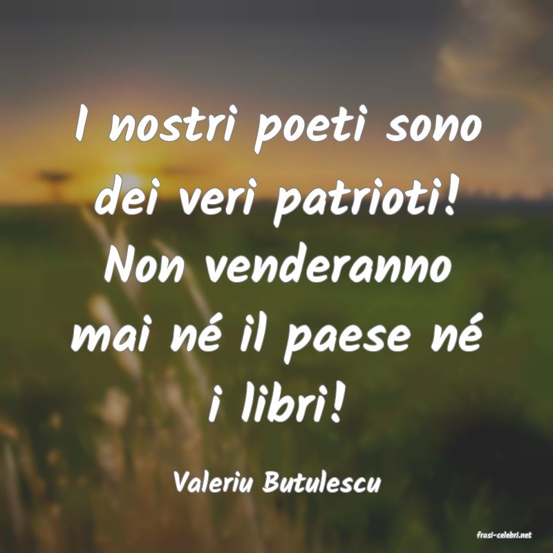 frasi di  Valeriu Butulescu
