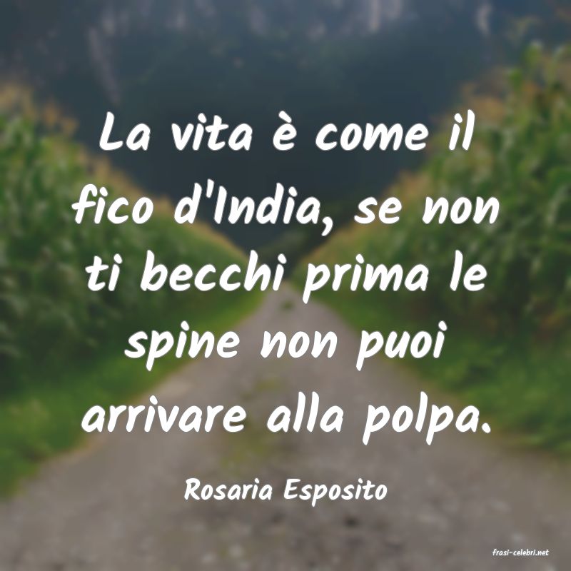 frasi di  Rosaria Esposito
