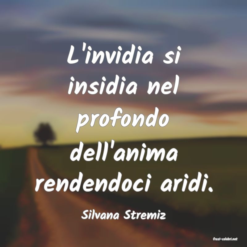 frasi di  Silvana Stremiz
