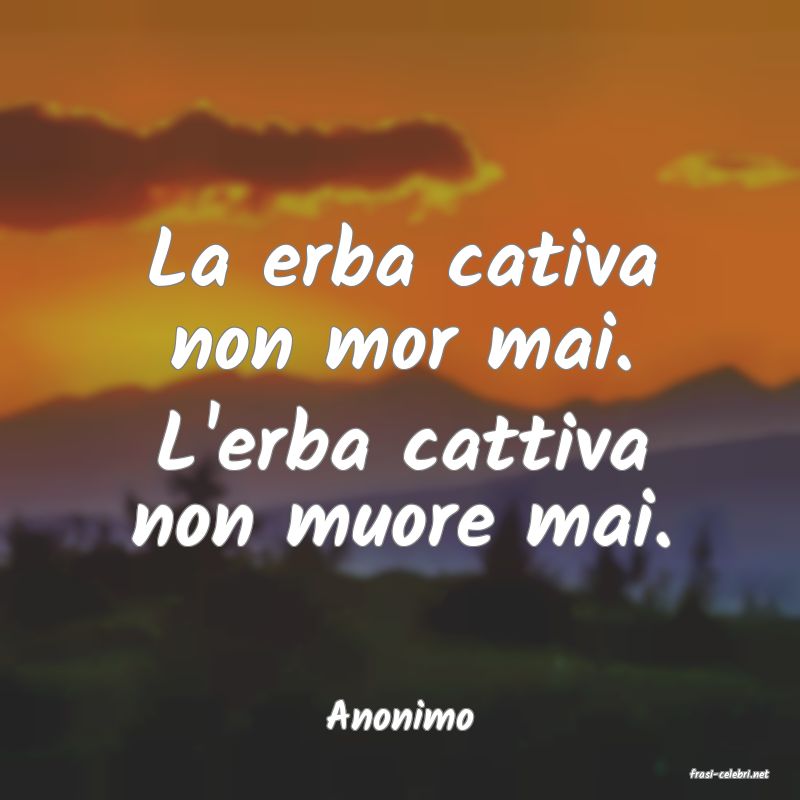 frasi di Anonimo