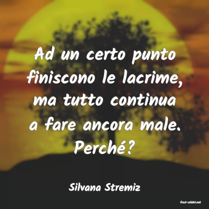 frasi di Silvana Stremiz