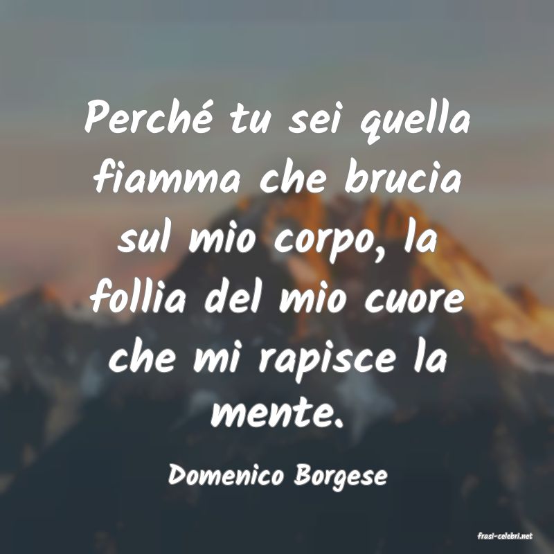 frasi di  Domenico Borgese
