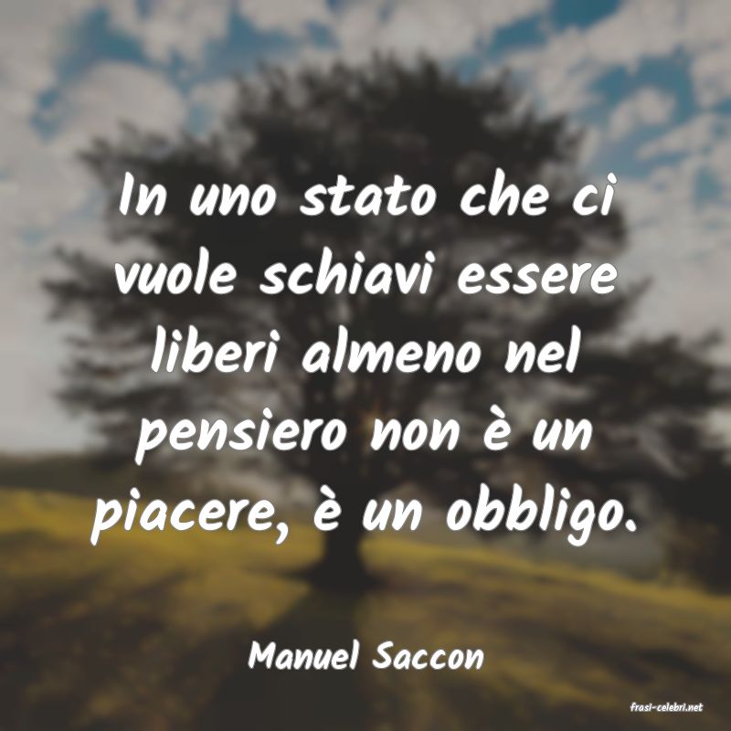 frasi di Manuel Saccon