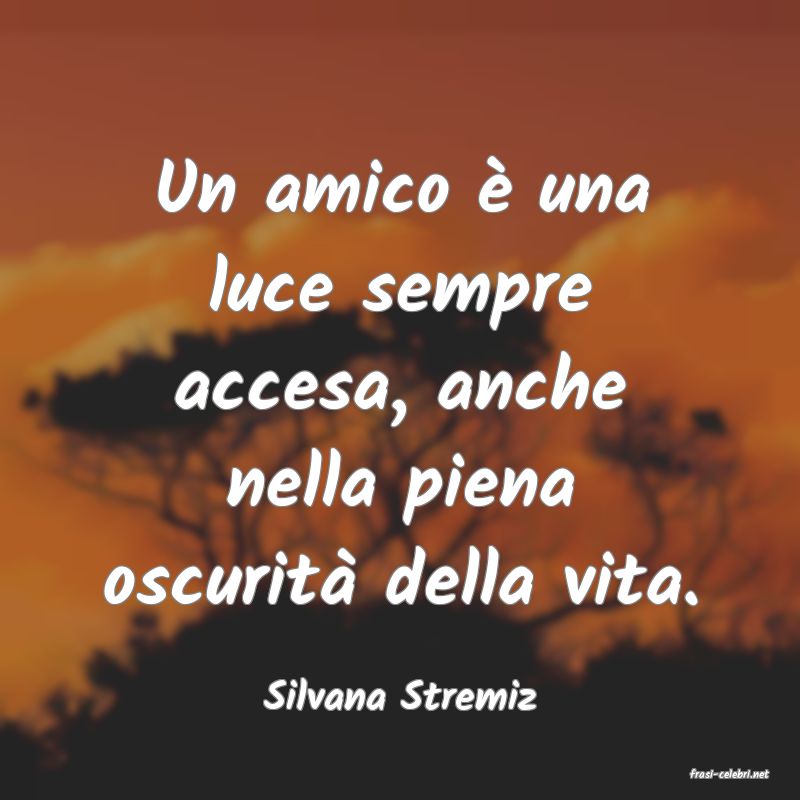 frasi di  Silvana Stremiz
