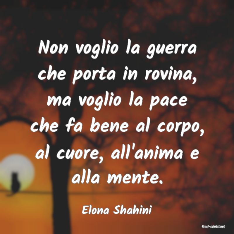 frasi di Elona Shahini