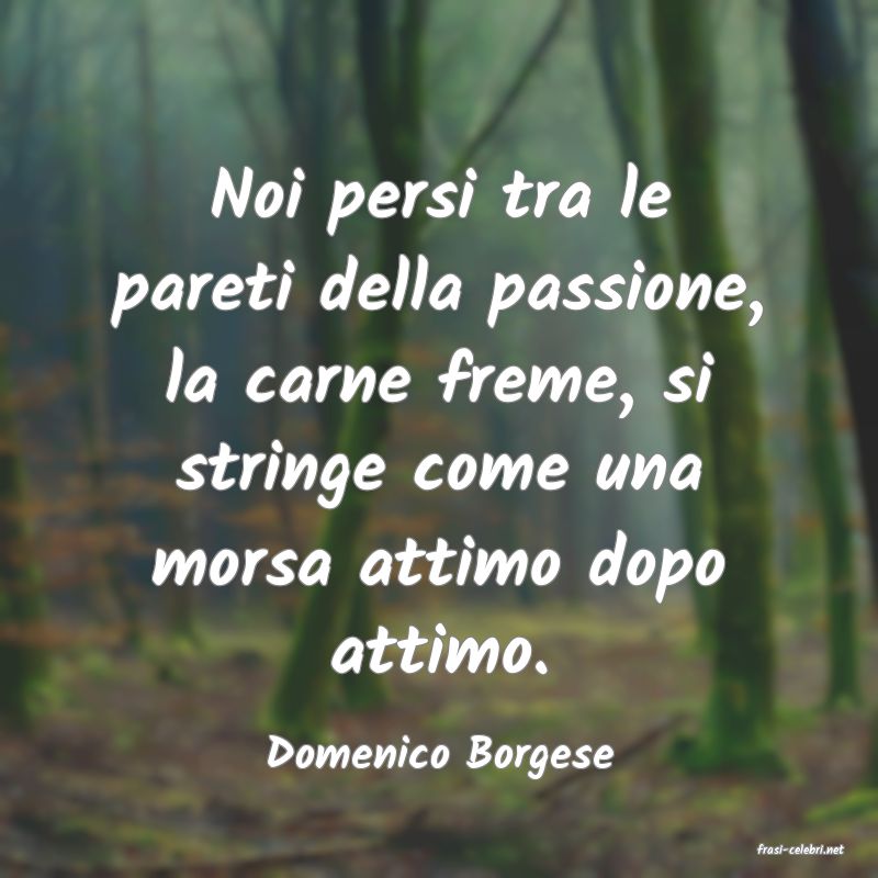 frasi di  Domenico Borgese
