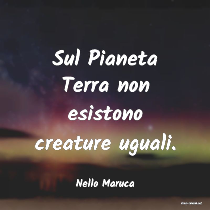 frasi di  Nello Maruca
