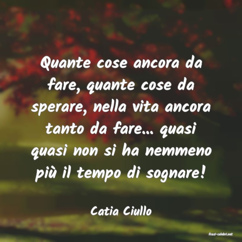 frasi di  Catia Ciullo
