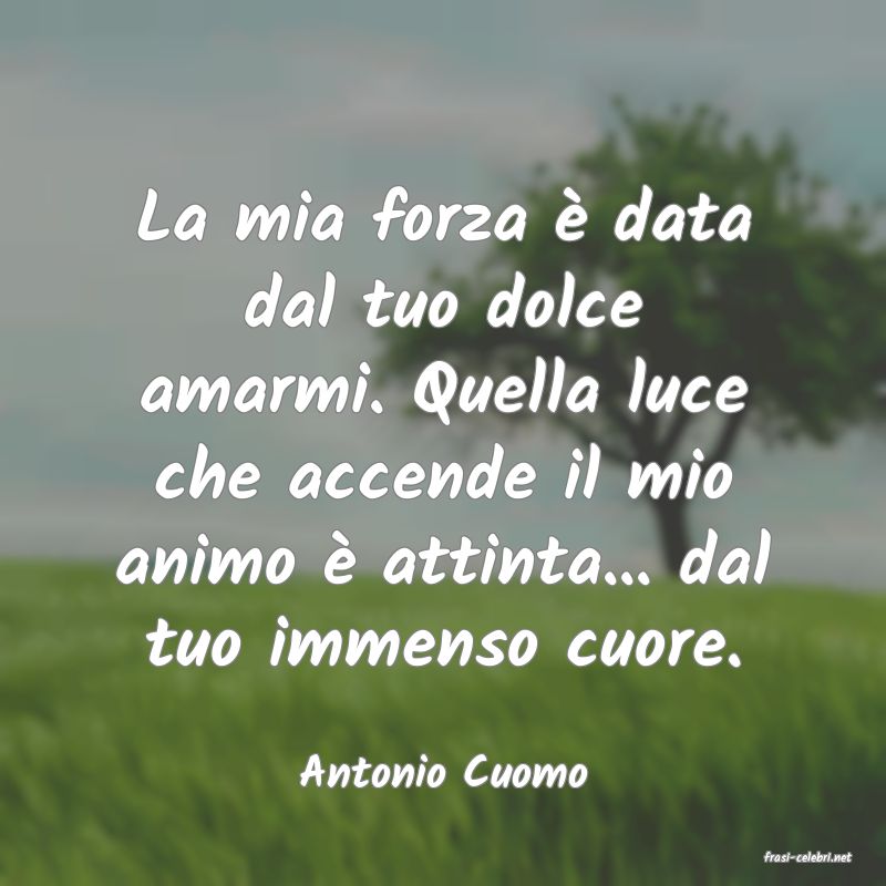 frasi di  Antonio Cuomo
