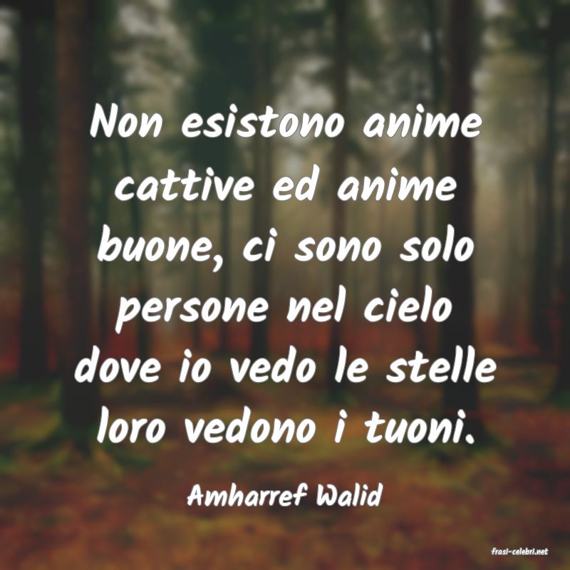 frasi di  Amharref Walid
