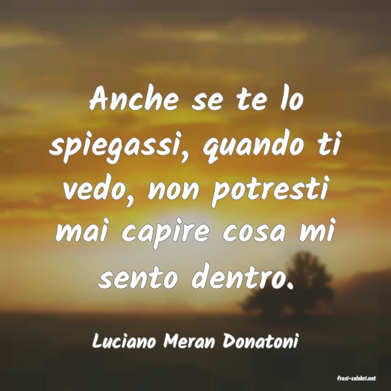 frasi di  Luciano Meran Donatoni

