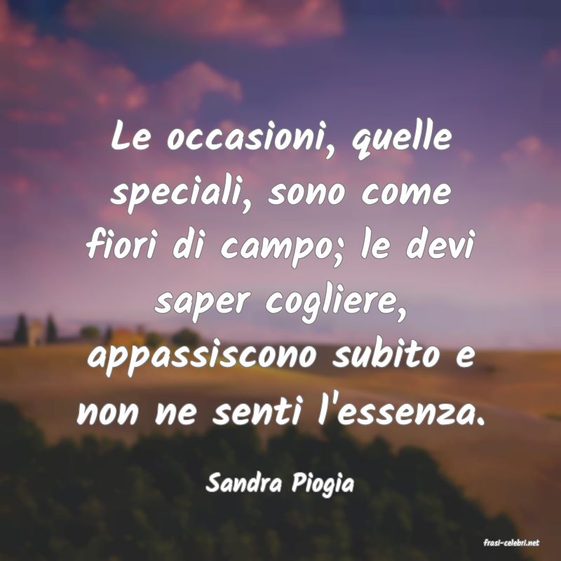 frasi di  Sandra Piogia
