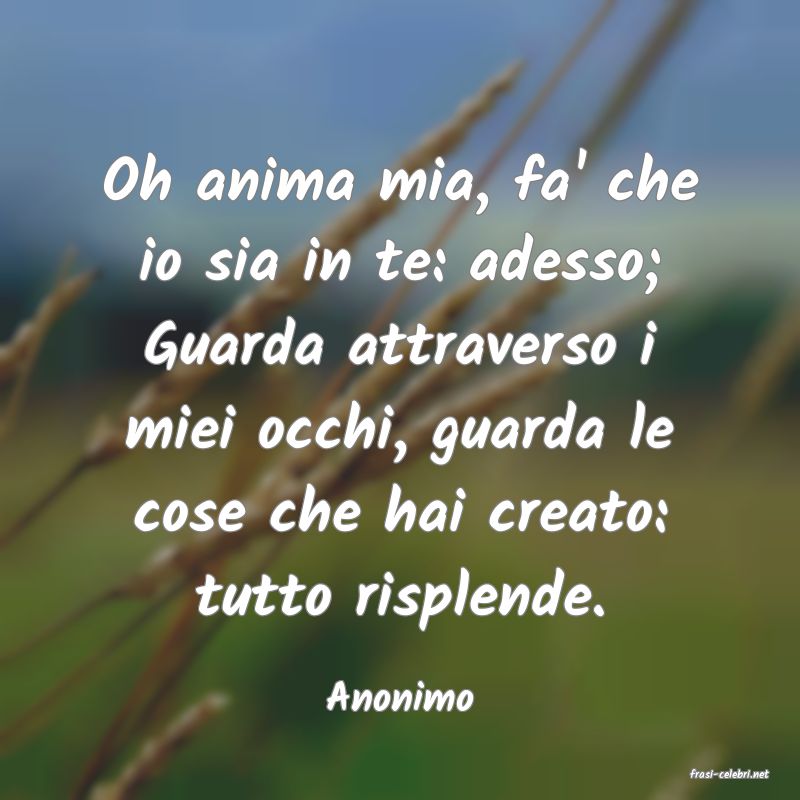 frasi di  Anonimo
