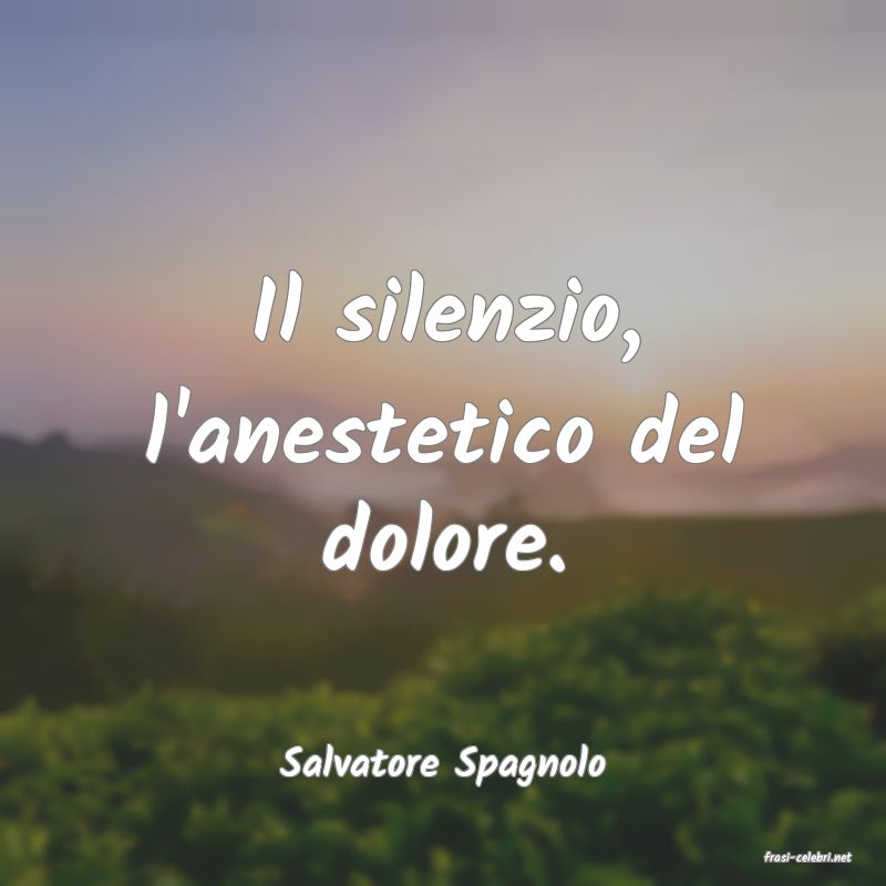 frasi di  Salvatore Spagnolo

