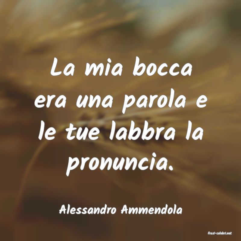 frasi di  Alessandro Ammendola
