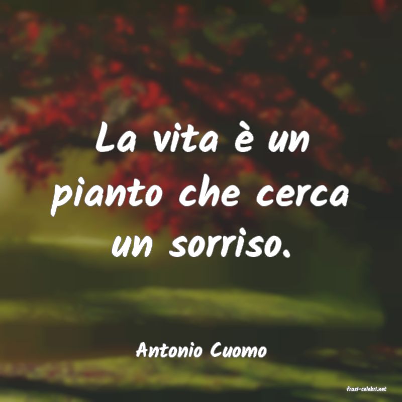 frasi di  Antonio Cuomo
