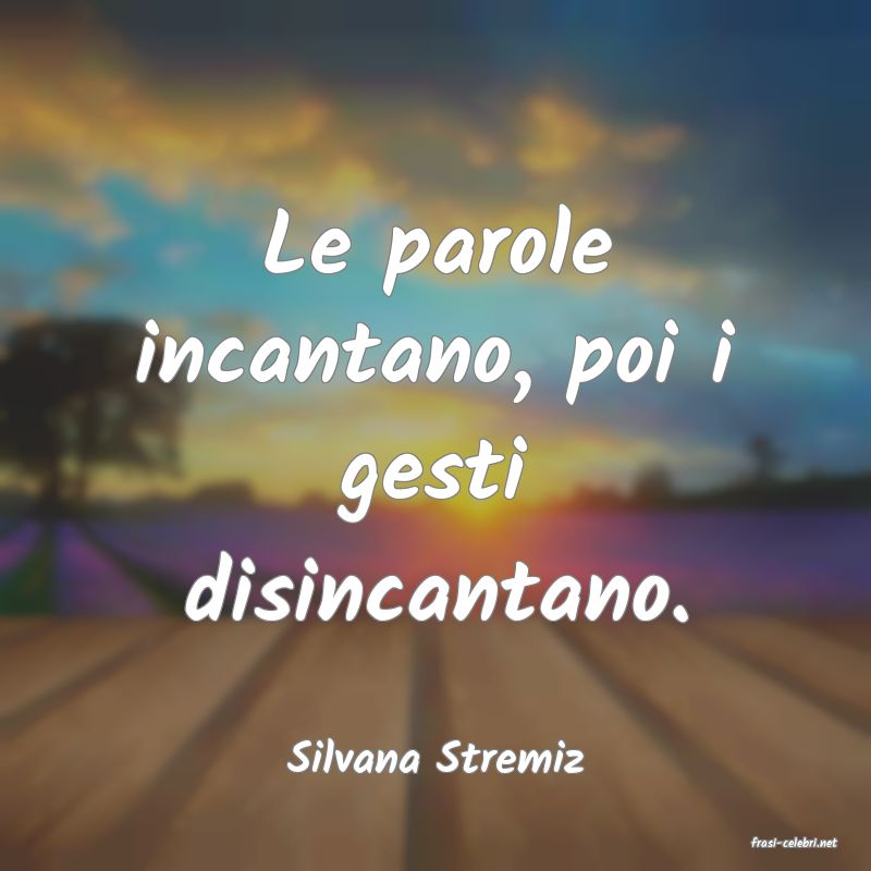 frasi di  Silvana Stremiz
