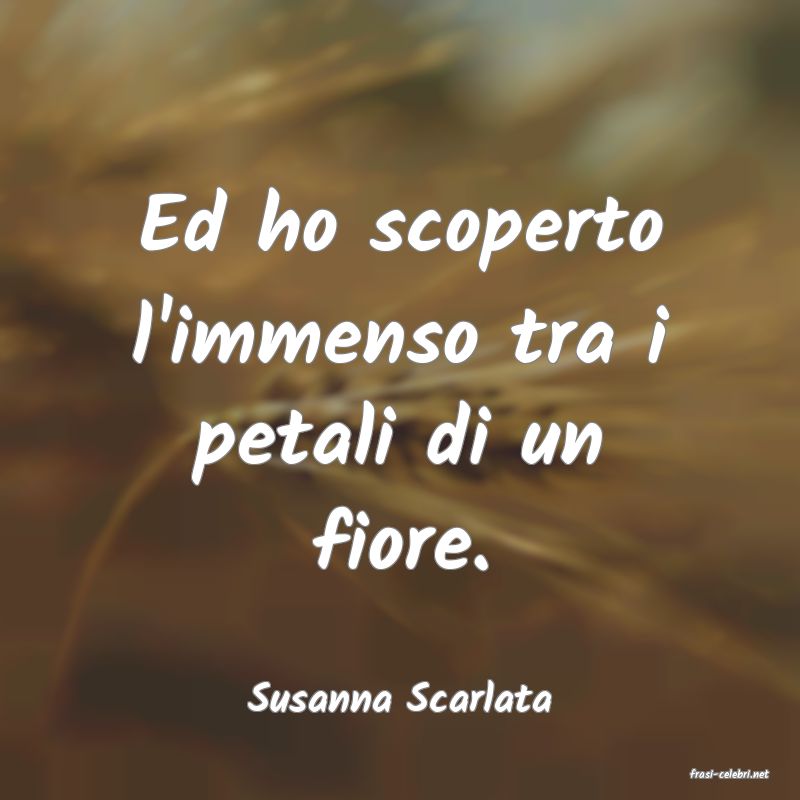 frasi di  Susanna Scarlata
