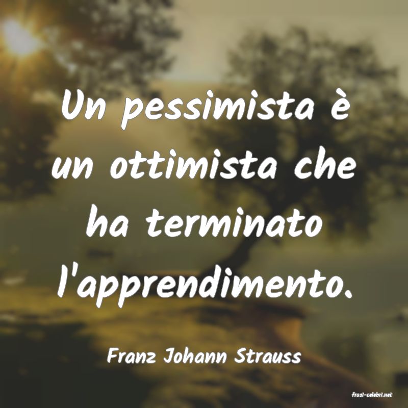 frasi di  Franz Johann Strauss
