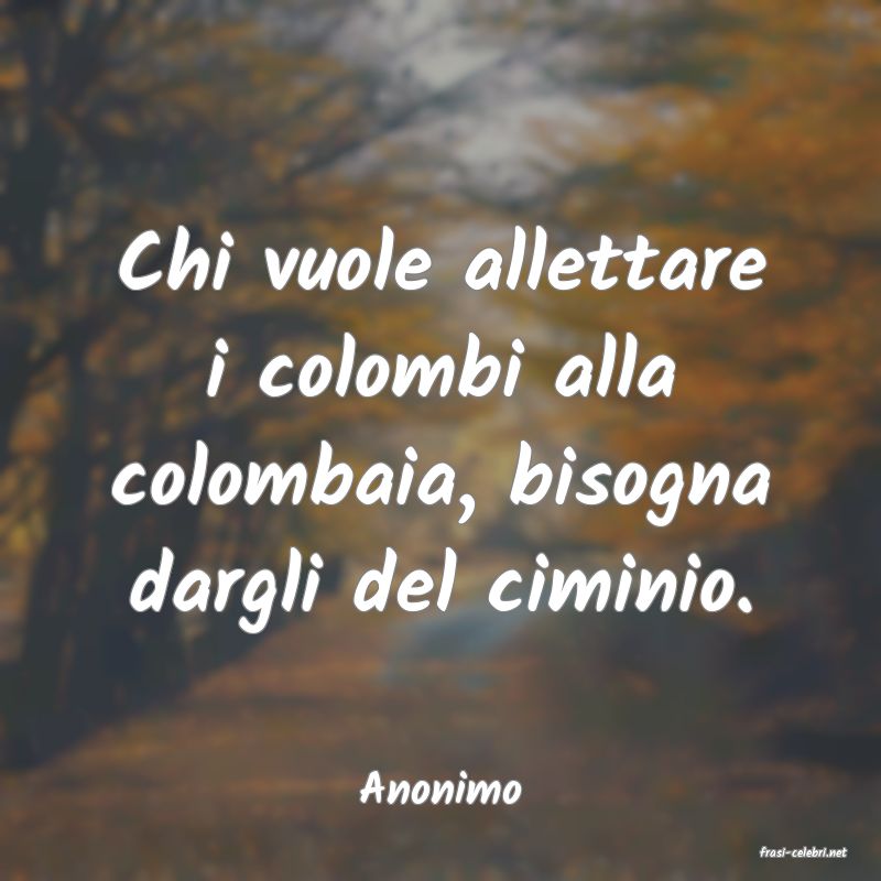frasi di Anonimo