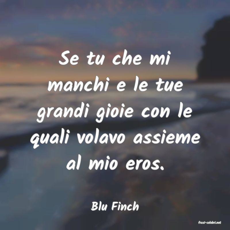 frasi di Blu Finch
