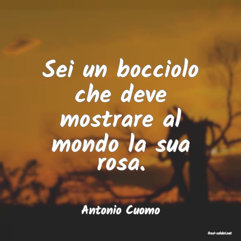 frasi di  Antonio Cuomo
